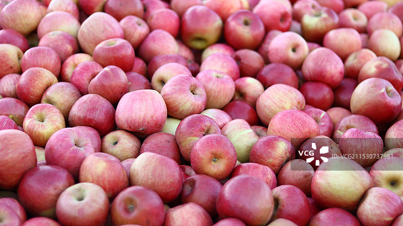 东北早市苹果图片素材