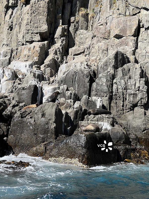 探索澳大利亚的塔斯马尼亚图片素材