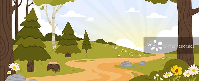 春夏季节的森林风景，松树林图片素材