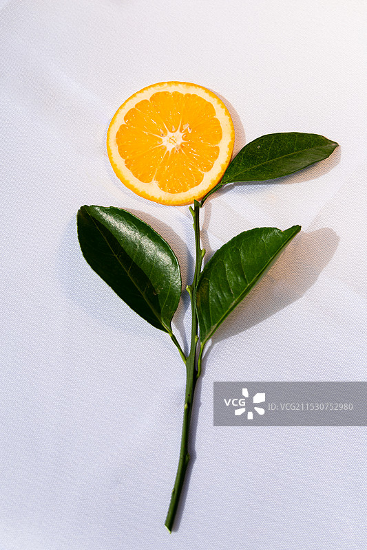 赣南脐橙图片素材