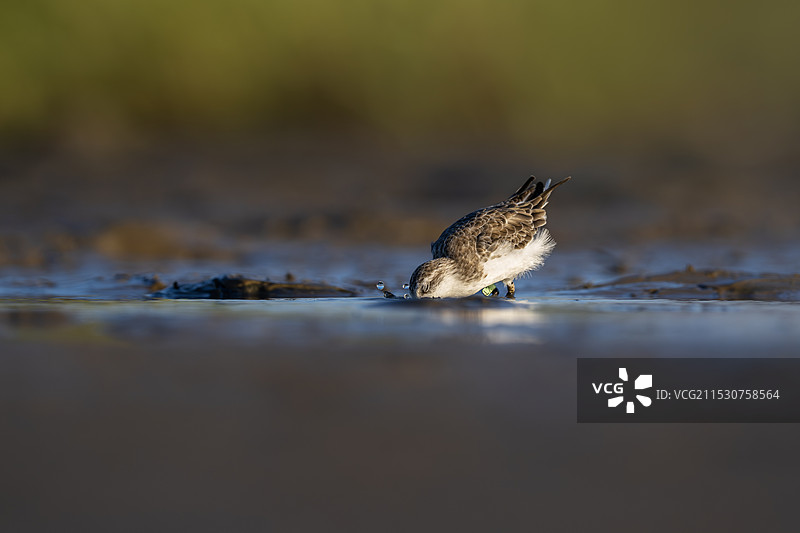 每一次勇敢向前，每一次向上攀登，都会走进更大的世界，看到更美的风景。图片素材