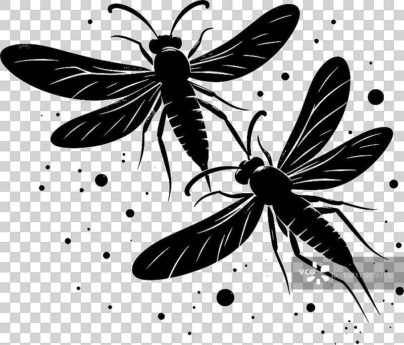 美丽的萤火虫昆虫轮廓孤立在一个背景上图片素材