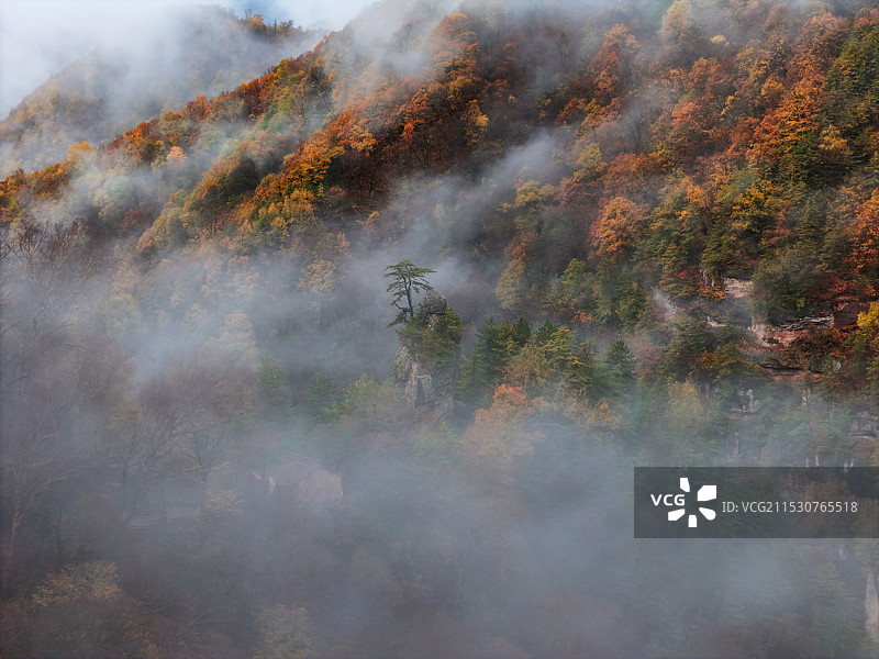 莲花台秋色图片素材