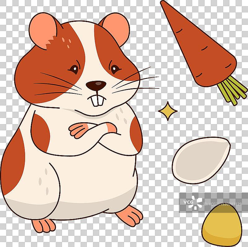 可爱的橙白色仓鼠与胡萝卜和玉米图片素材