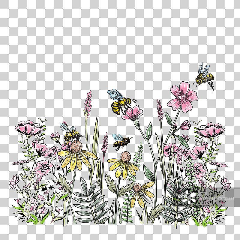 带蜜蜂的向日葵花卉图片素材