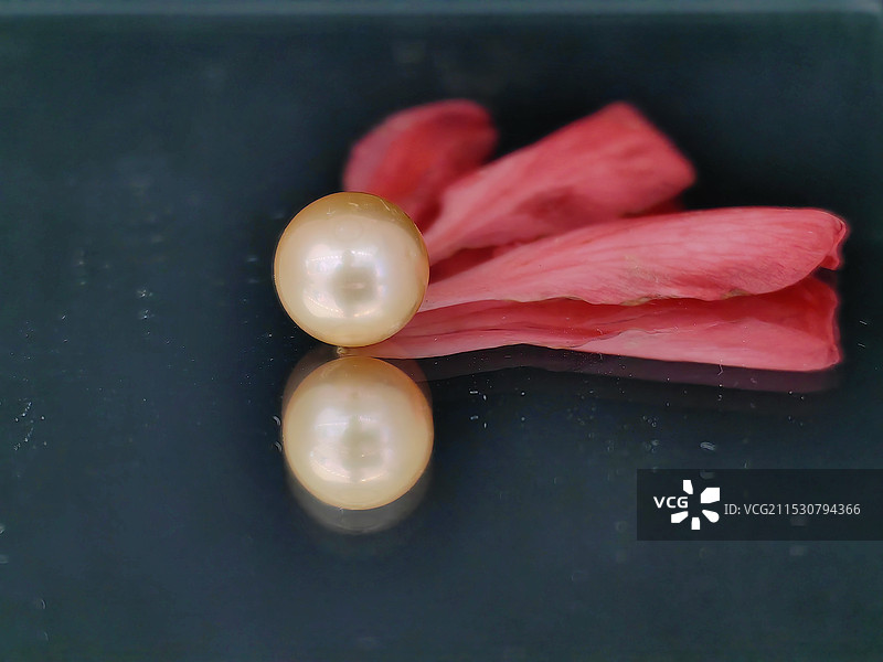 珍珠图片素材