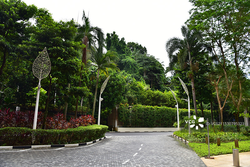 滨海湾花园图片素材