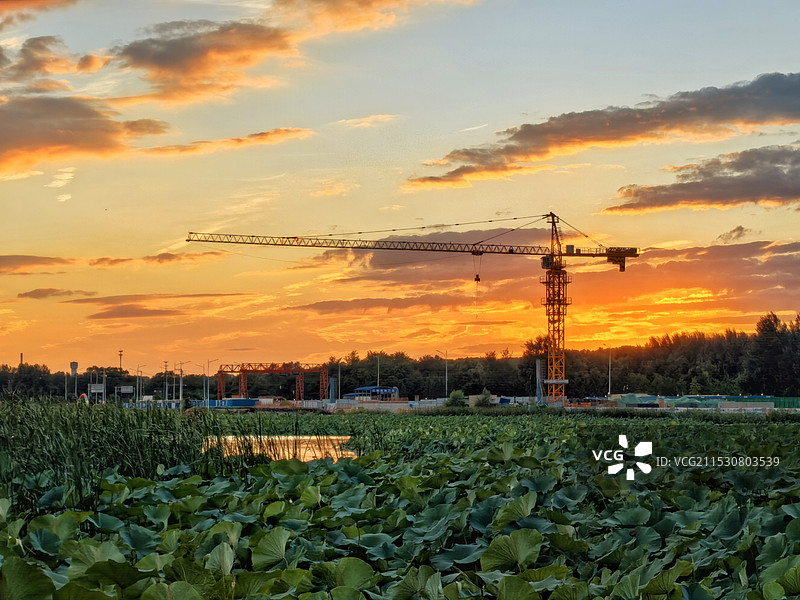 夕阳下正在修建的荷塘图片素材