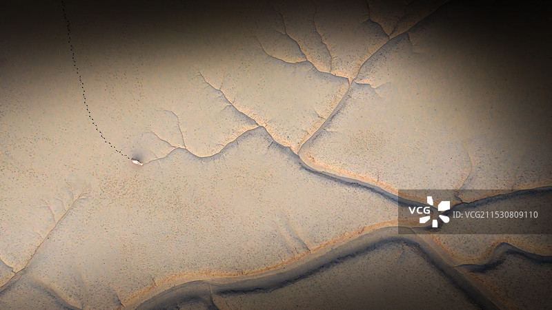 麋鹿图腾图片素材