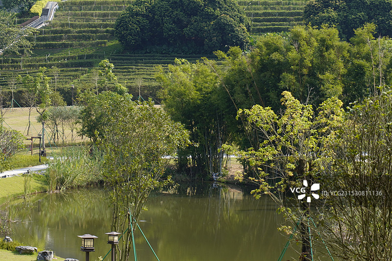 中山古香林公园图片素材