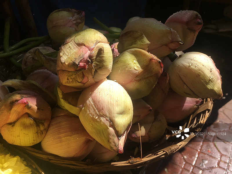 桌上篮子里的荷花花苞的高角度视图图片素材