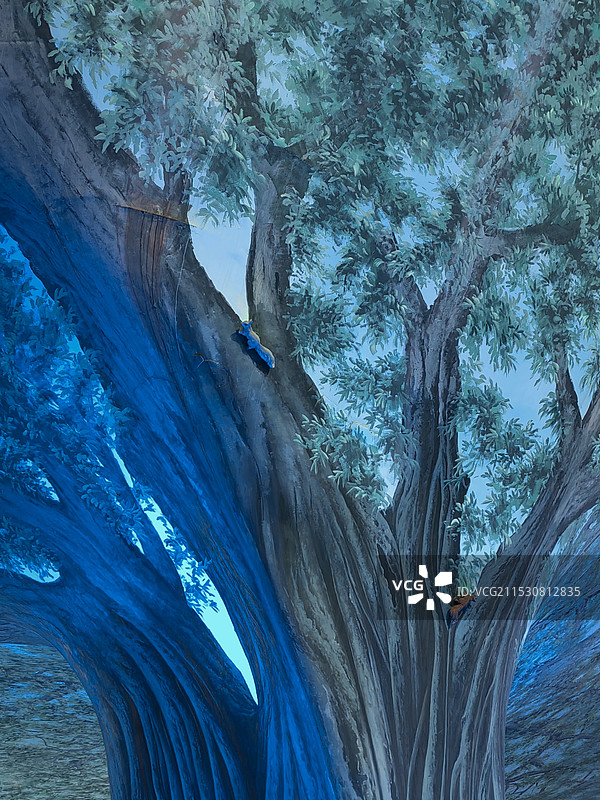 蓝光宝树2图片素材