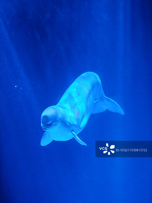 走入蔚蓝图片素材