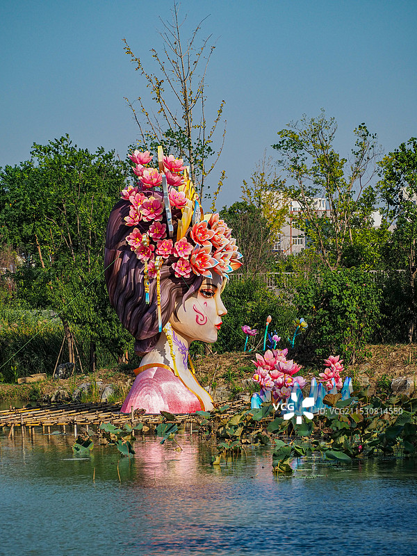 湖边的树顶着天空图片素材