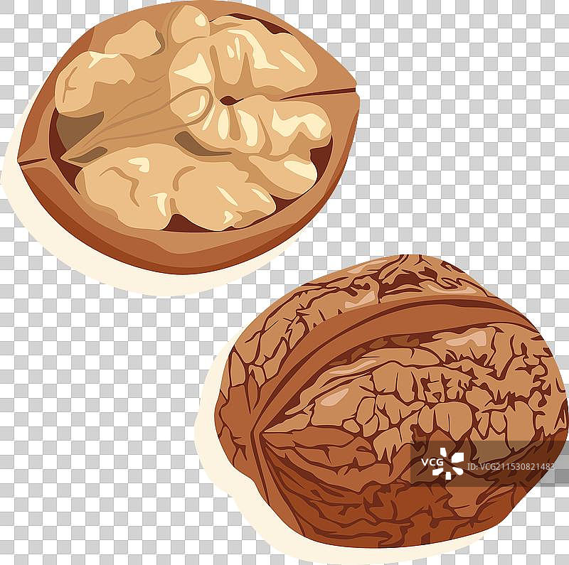 带壳和去壳的核桃仁图片素材
