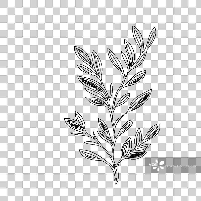石南花植物素描轮廓图片素材