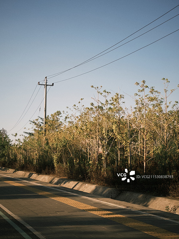 空旷的路在树丛中迎着天空图片素材