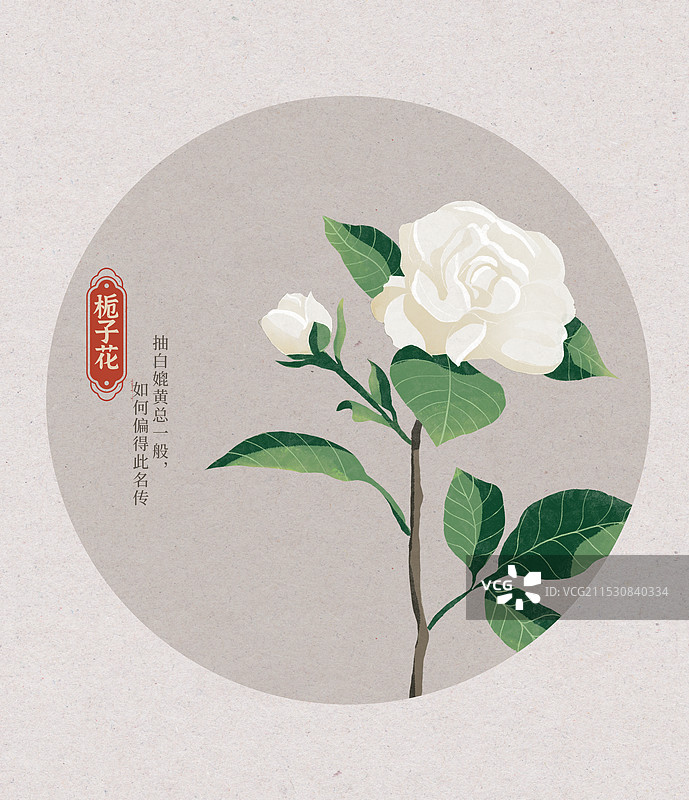 栀子花国潮国风水彩插画图片素材