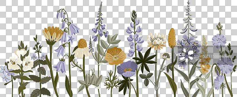 绘制野花图片素材