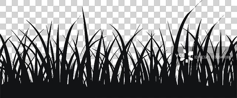 适合自然主题的大胆草丛剪影图片素材