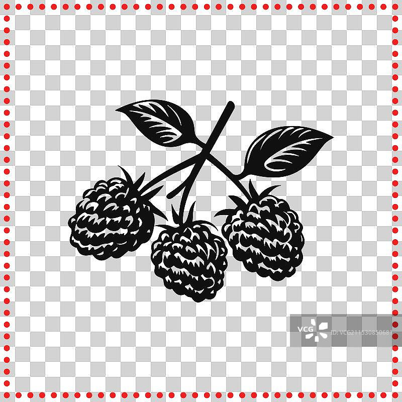 树莓轮廓的浆果魅力图形图片素材