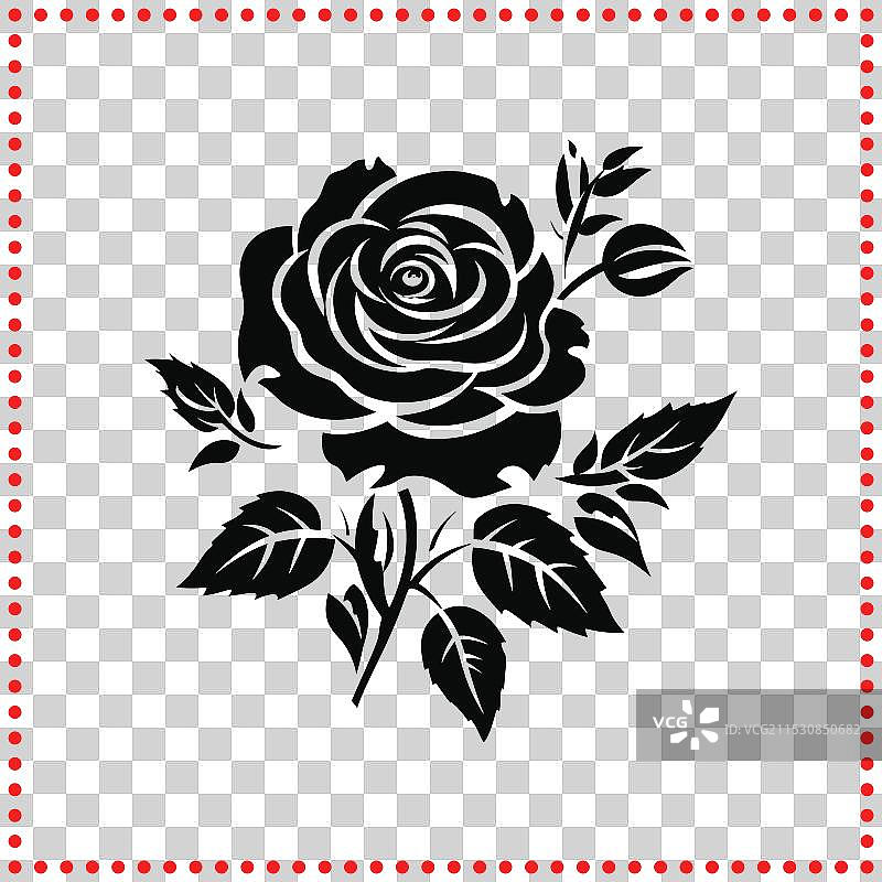 永恒的玫瑰，勾勒出优雅的轮廓图片素材