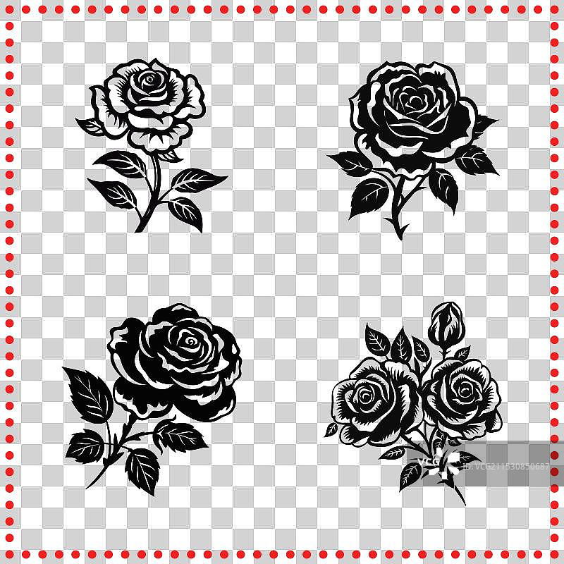 美丽的玫瑰剪影，展现花卉的完美。图片素材