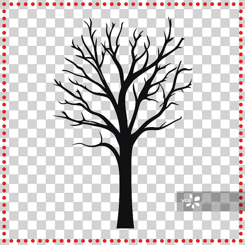 自然的优雅，鲜明的轮廓图片素材