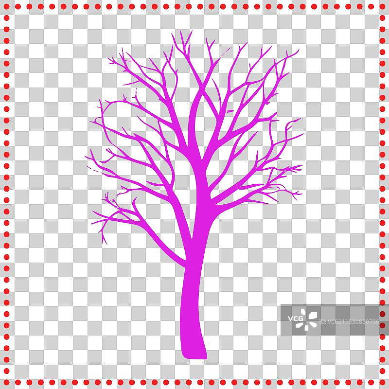 永恒的轮廓，树木的简单之美图片素材