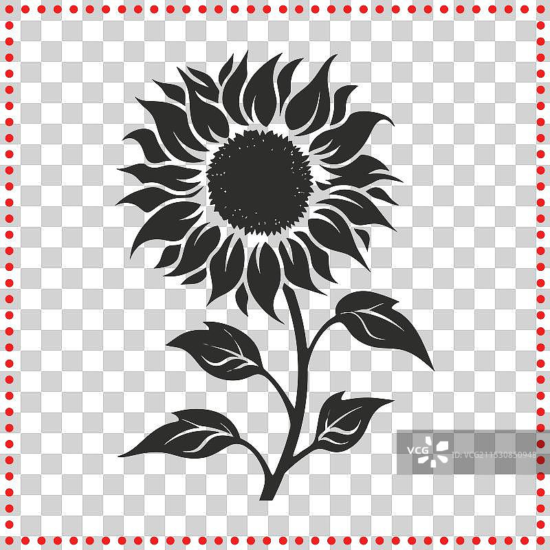 优雅的向日葵轮廓交响曲图片素材