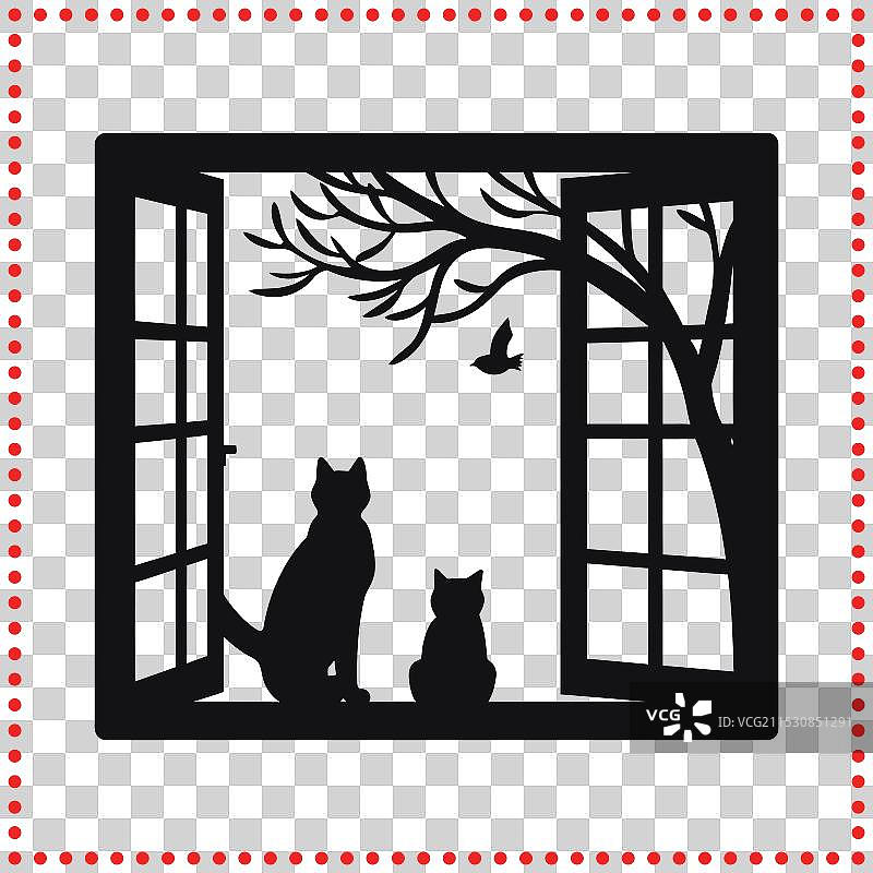 窗边的低语者，猫咪静静地观察着图片素材