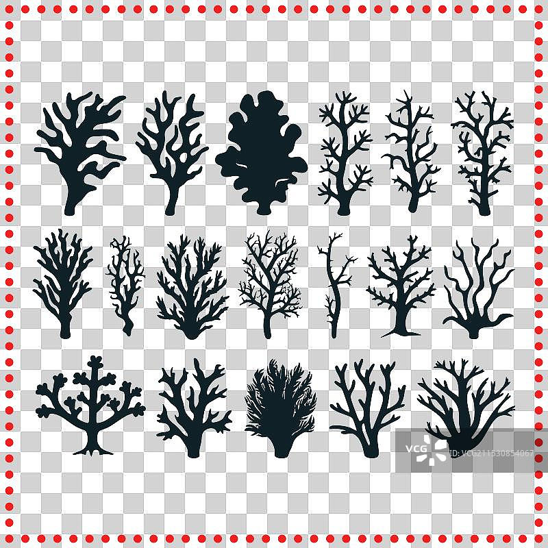 灵感来自自然的树木和珊瑚的分支之美图片素材