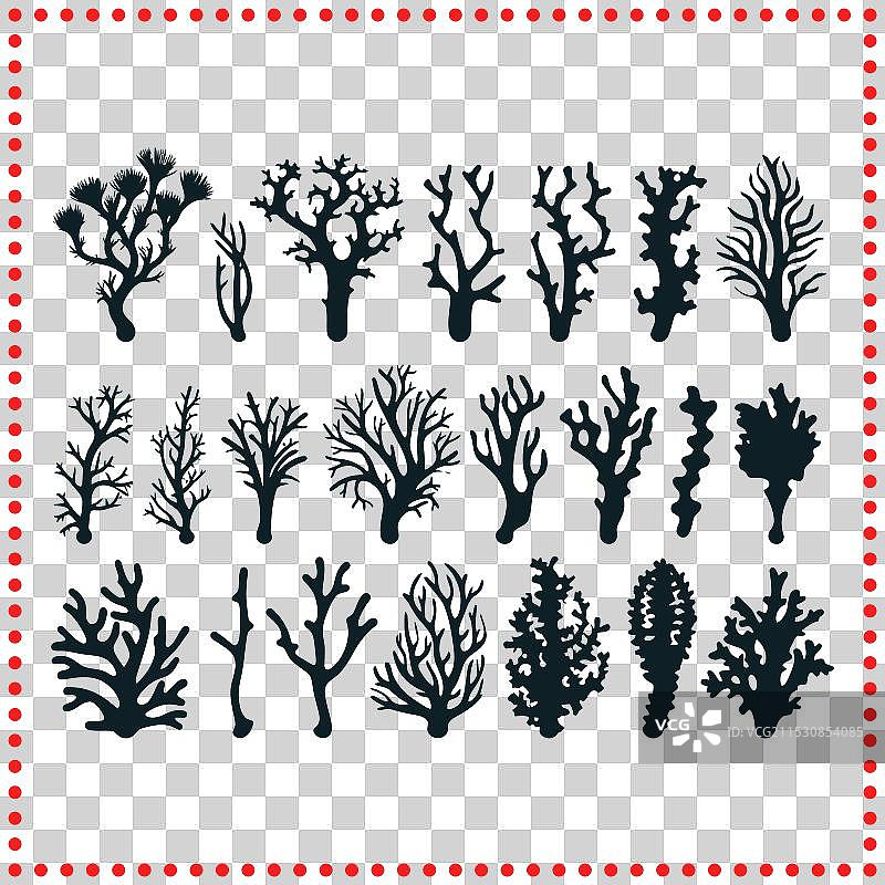 自然形状的珊瑚和树木轮廓图片素材