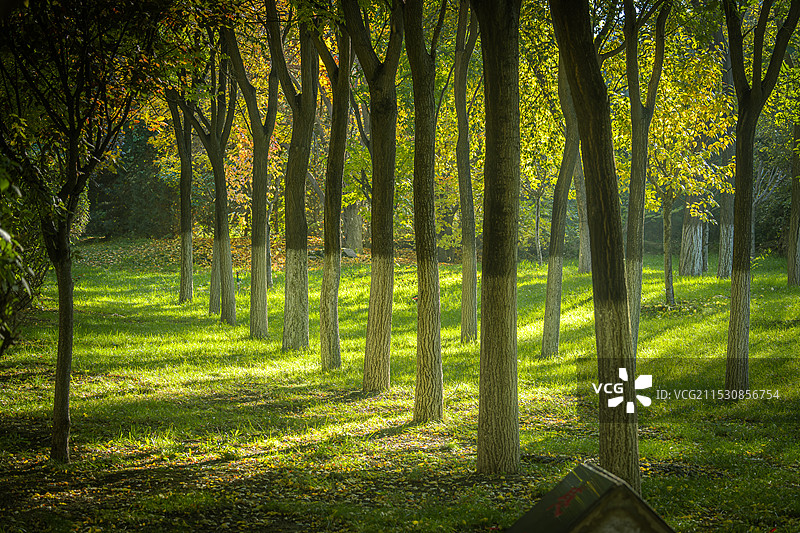秋天的明媚图片素材