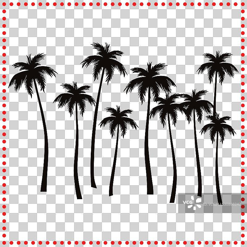 坚韧而光彩照人的棕榈树为何能茁壮成长图片素材