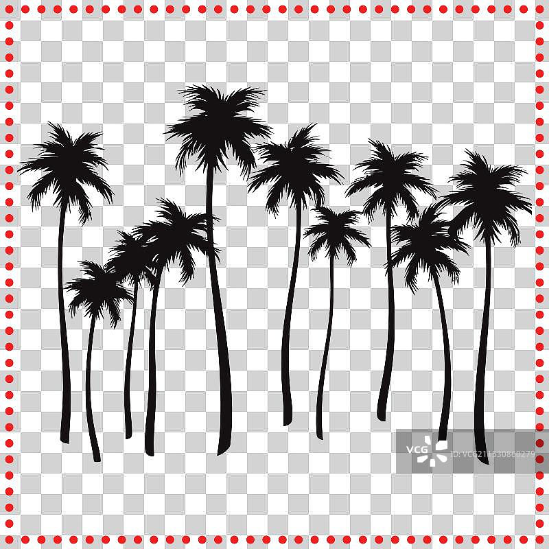 优雅的微风，棕榈树的影响图片素材