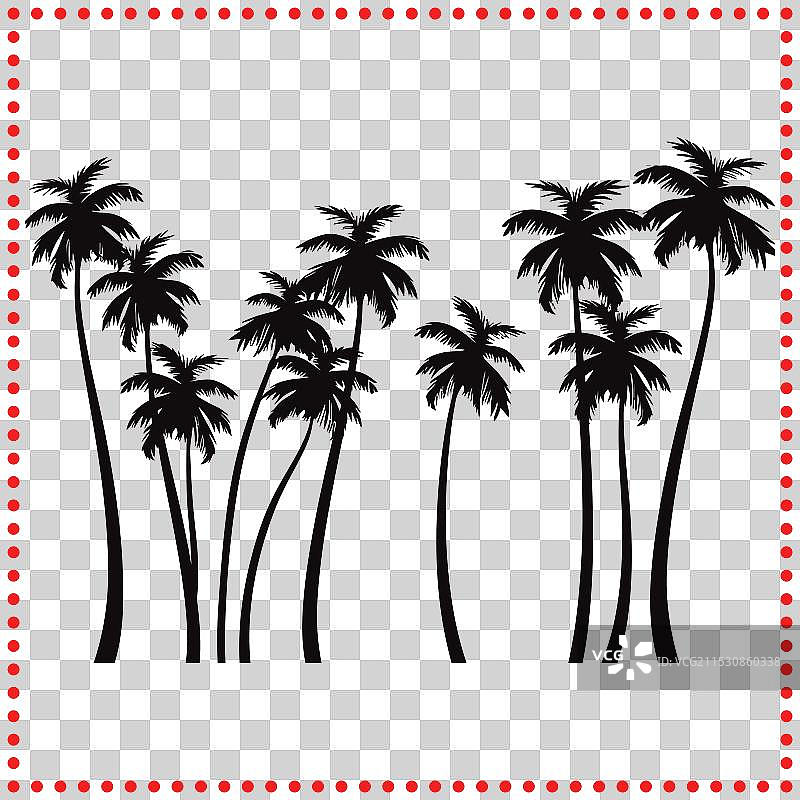 创建棕榈天堂：健康生长的技巧图片素材