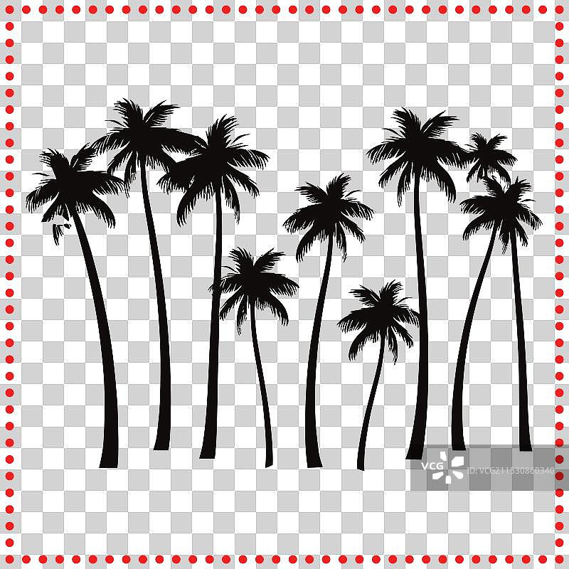 棕榈树诗歌捕捉优雅与 grace图片素材