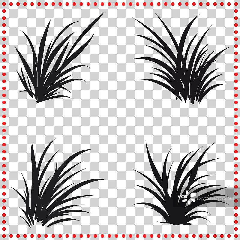 以草为灵感的艺术，展现自然之美图片素材