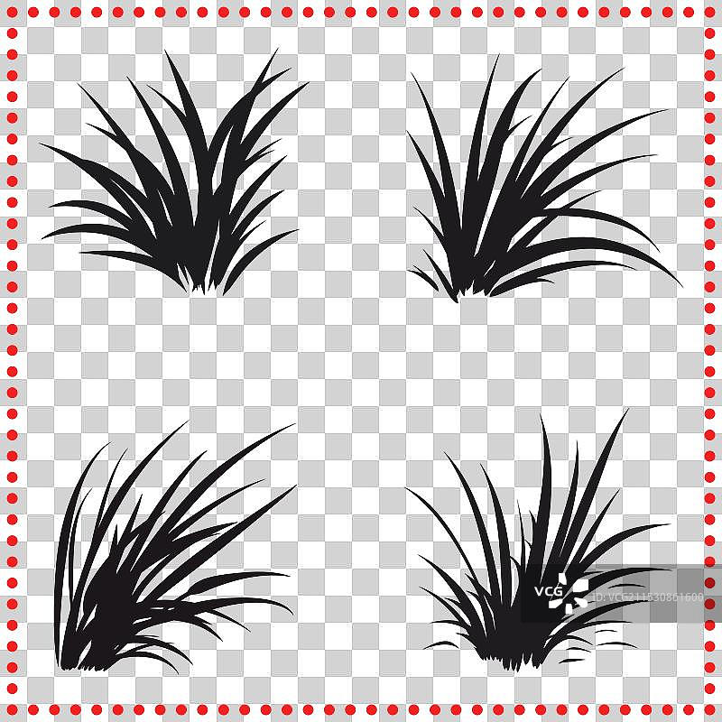 用极简主义草艺改变你的空间图片素材