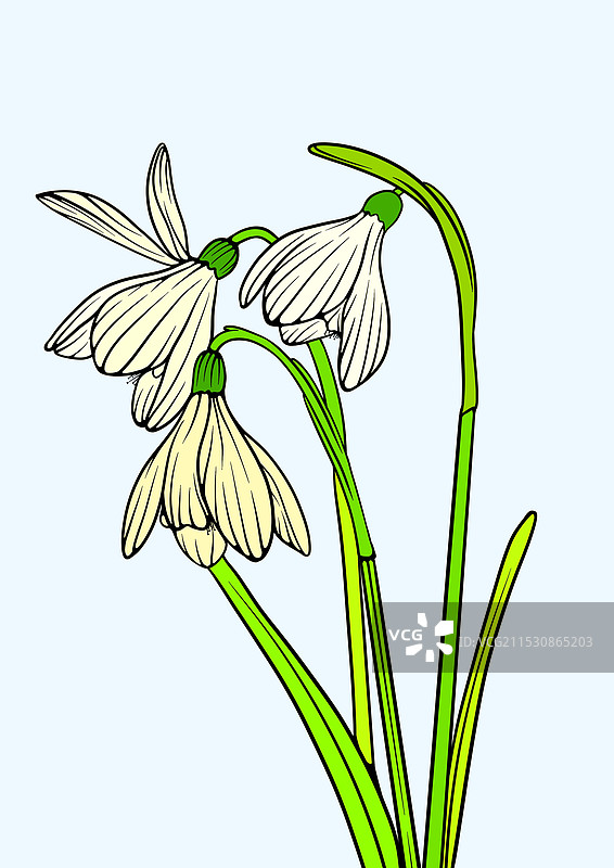 手绘花图片素材