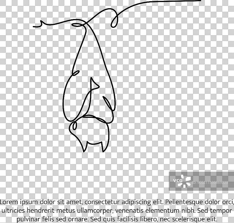 可爱的悬挂蝙蝠一笔画图片素材