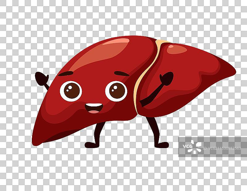 快乐的肝脏图片素材