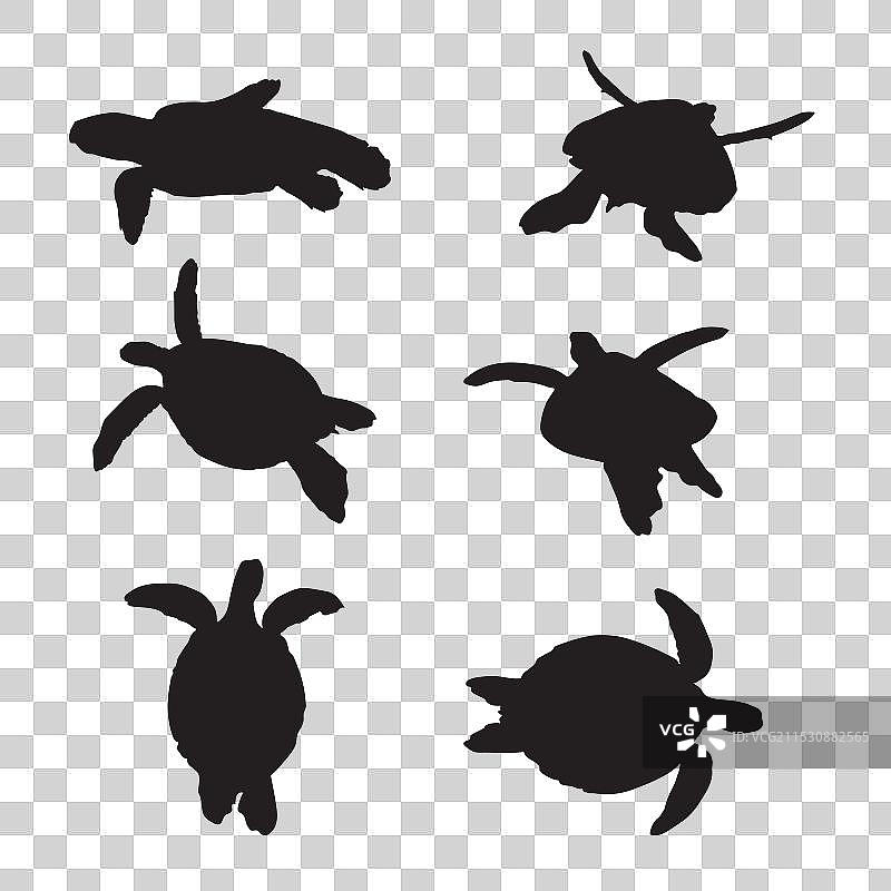 手绘乌龟剪影套装图片素材