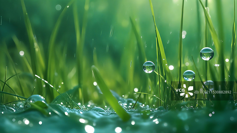 清新自然护眼系列 -草丛图片素材