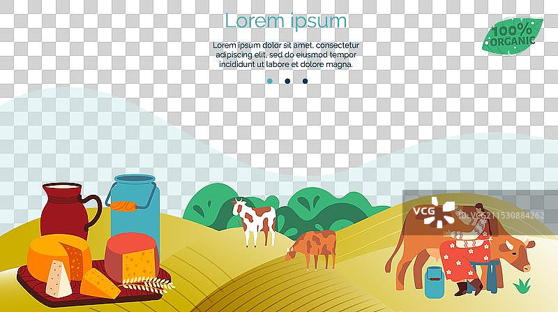 奶牛场景，牛群与乳制品展示图片素材