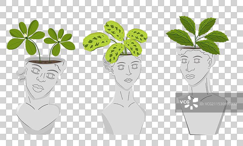 古董头部的图像形式图片素材