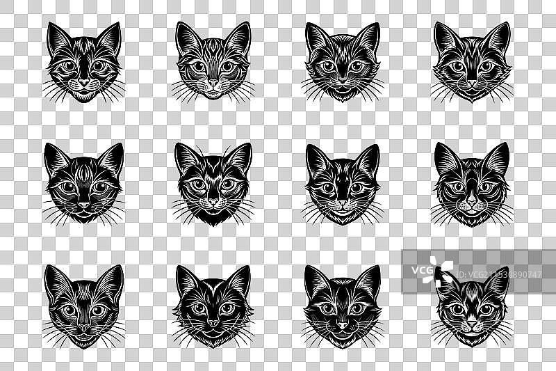猫头轮廓的集合图片素材
