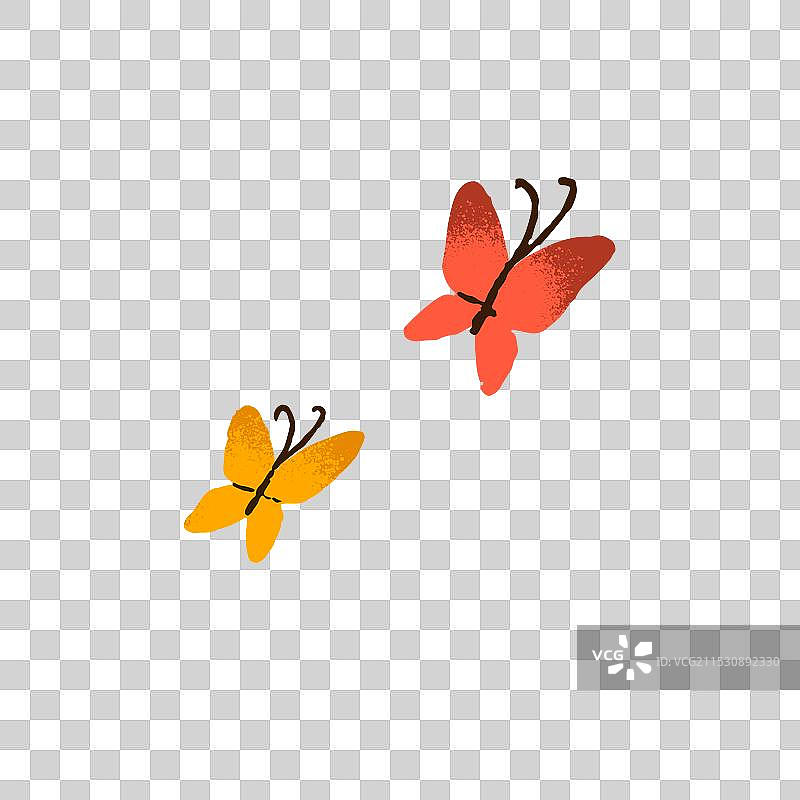 可爱的热带蝴蝶五彩斑斓地飞舞图片素材