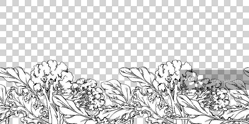 健康饮食的蔬菜和绿色沙拉混合物图片素材